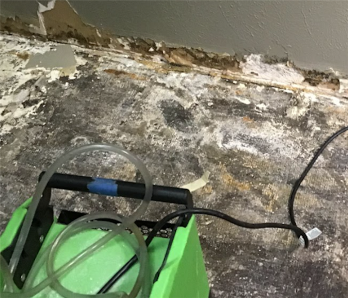 Restoring a House After a Major Water Damage