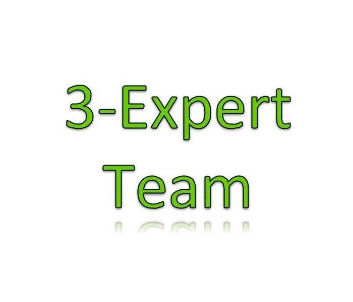 Expert Team Graphic