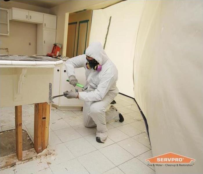 SERVPRO Professional Repairing Mold Damage