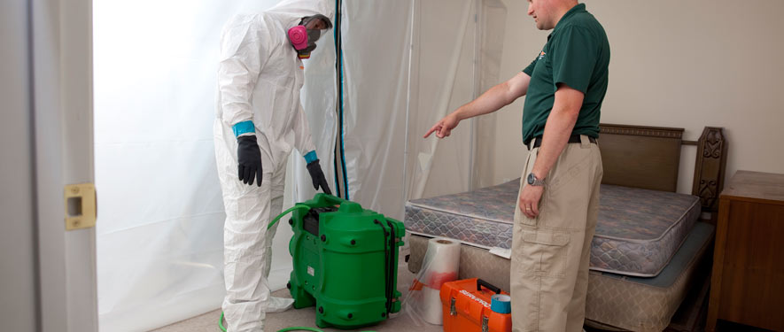 Richardson, TX mold removal process